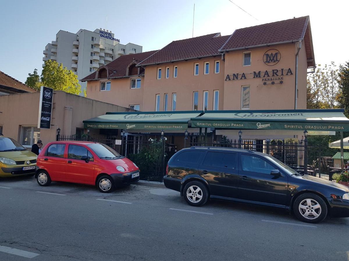 Pensiunea Ana Maria Băile Felix エクステリア 写真