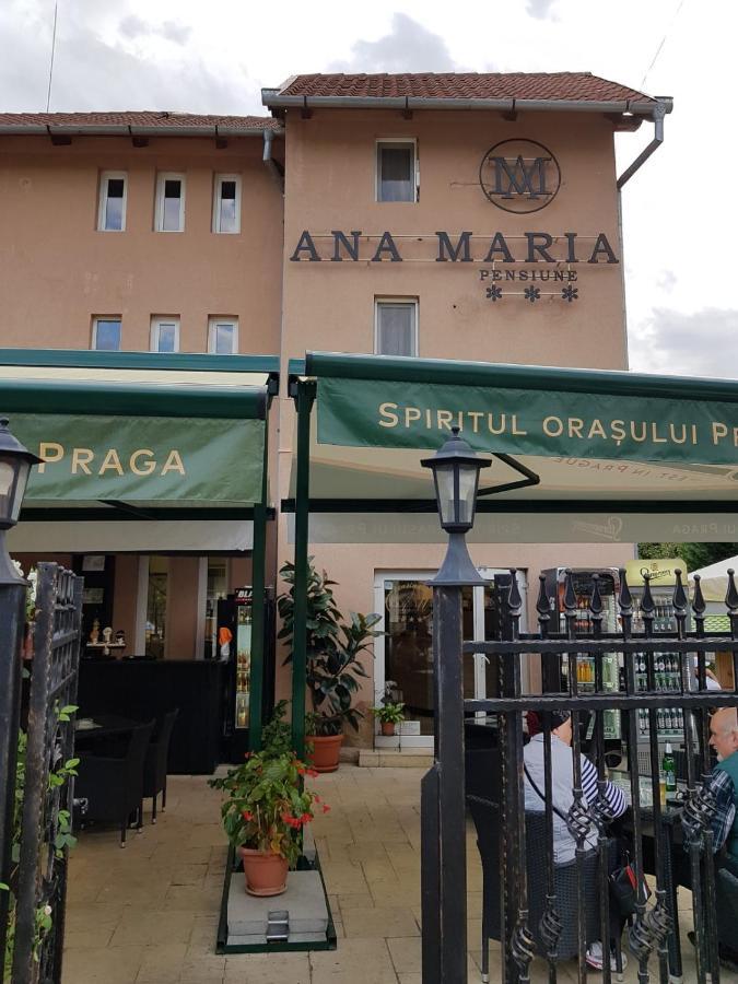 Pensiunea Ana Maria Băile Felix エクステリア 写真