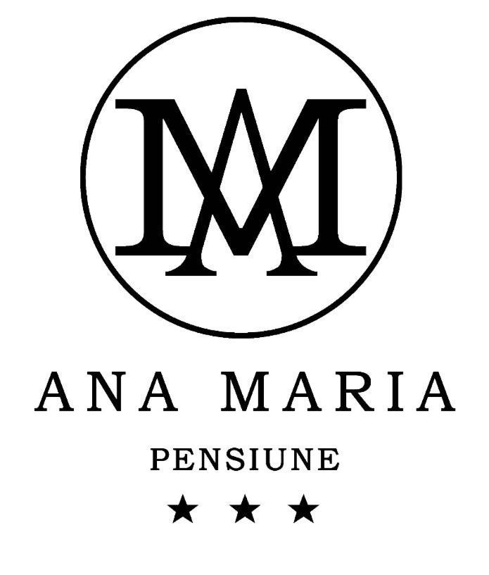 Pensiunea Ana Maria Băile Felix エクステリア 写真